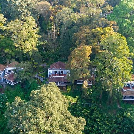 The Tall Trees Munnar Dış mekan fotoğraf