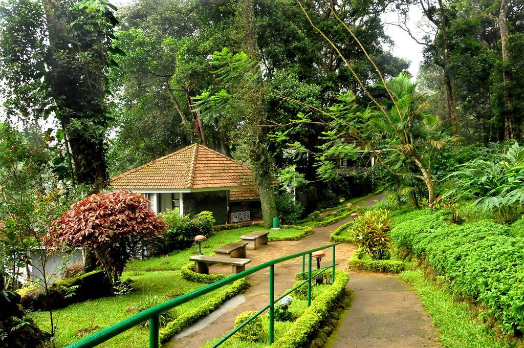 The Tall Trees Munnar Dış mekan fotoğraf