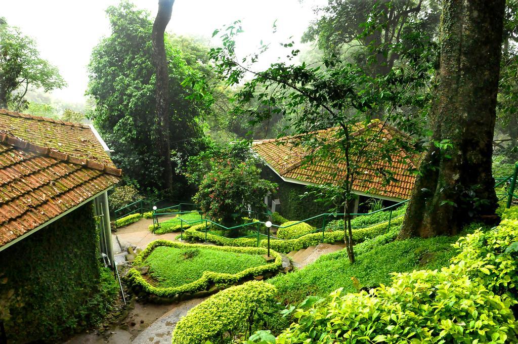 The Tall Trees Munnar Dış mekan fotoğraf