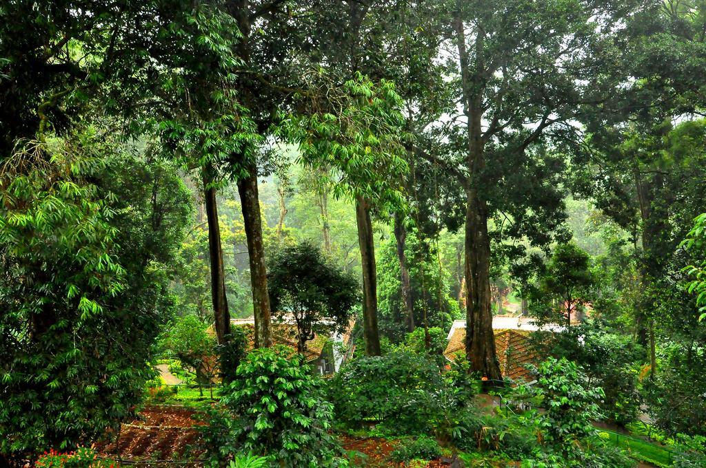 The Tall Trees Munnar Dış mekan fotoğraf