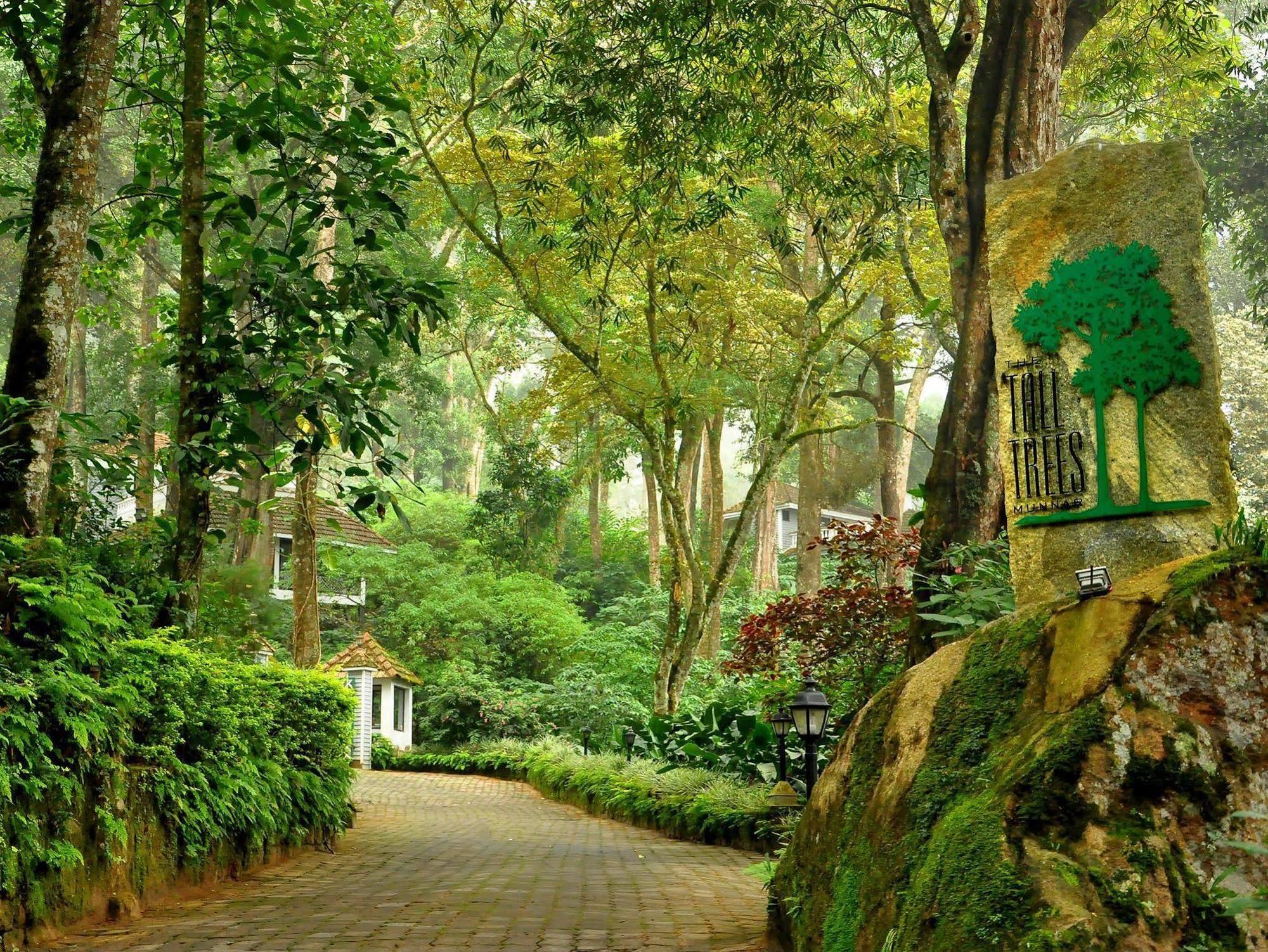The Tall Trees Munnar Dış mekan fotoğraf