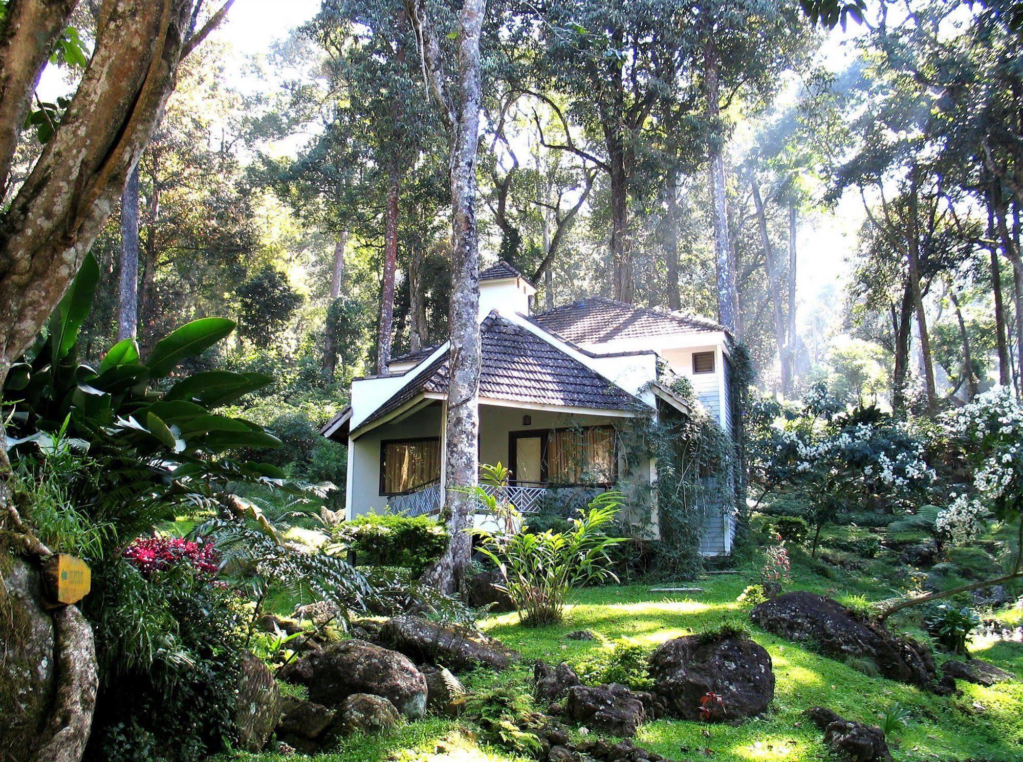 The Tall Trees Munnar Dış mekan fotoğraf