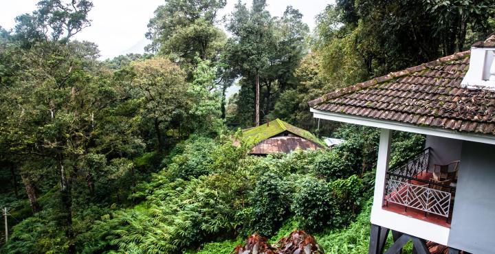 The Tall Trees Munnar Dış mekan fotoğraf