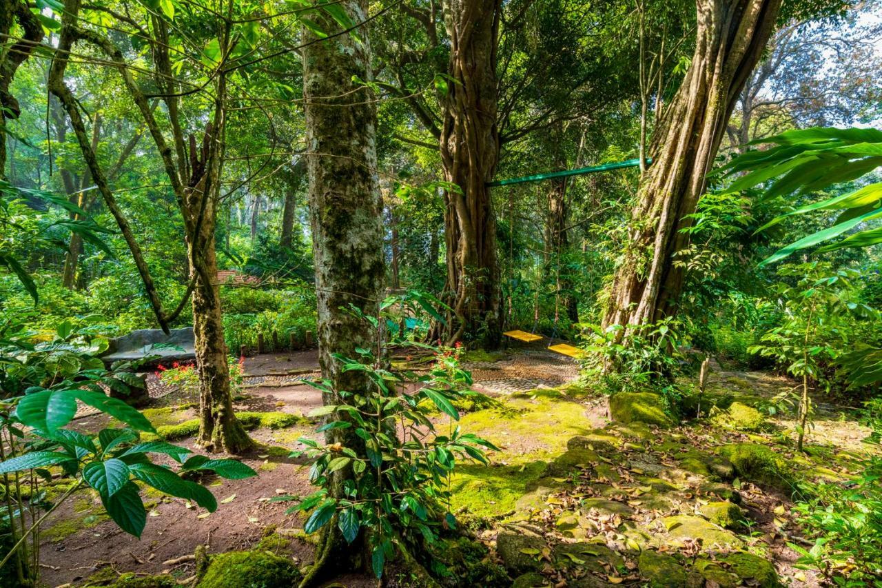 The Tall Trees Munnar Dış mekan fotoğraf