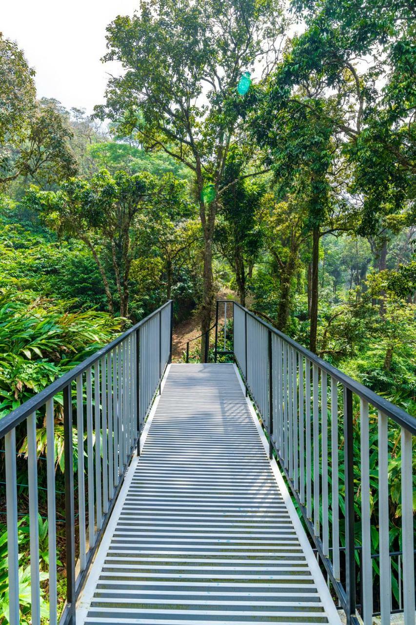 The Tall Trees Munnar Dış mekan fotoğraf